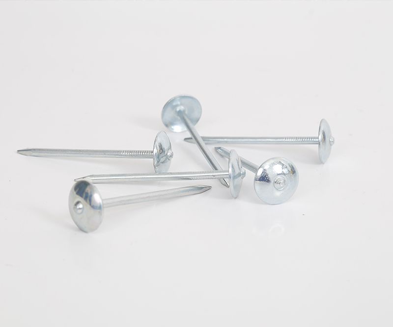 Roofing Nails