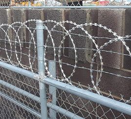 Border Guard