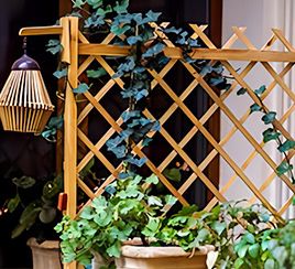 Plant fixation