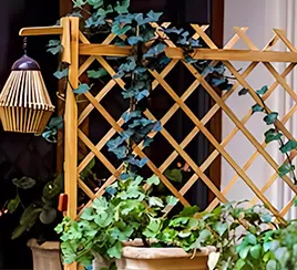 Plant fixation