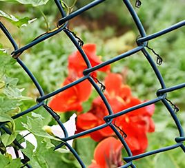 Fence reinforcement