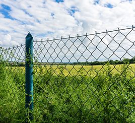 Garden Fencing ﻿