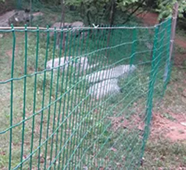 Mountain fence