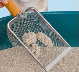 Pet Supplies & Pet