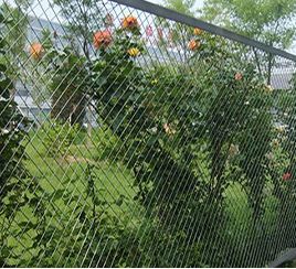 Planting protection