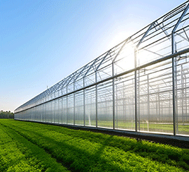 Agriculture