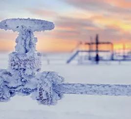 severe winter